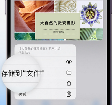 和林格尔apple维修中心分享iPhone文件应用中存储和找到下载文件