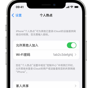 和林格尔apple服务站点分享iPhone上个人热点丢失了怎么办 