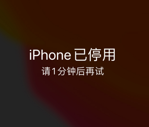 和林格尔苹果手机维修分享:iPhone 显示“不可用”或“已停用”怎么办？还能保留数据吗？ 