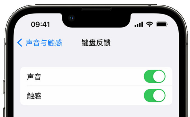 和林格尔苹果手机维修分享iPhone 14触感键盘使用方法 