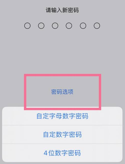 和林格尔苹果14维修分享iPhone 14plus设置密码的方法 