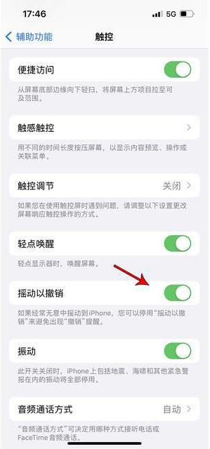 和林格尔苹果手机维修分享iPhone手机如何设置摇一摇删除文字 